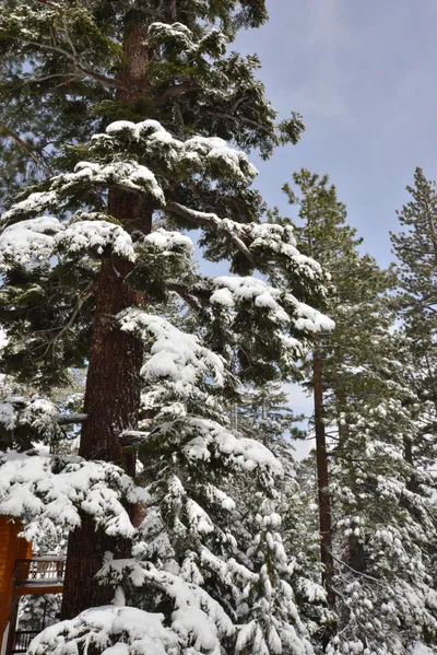 DSC_6661 (Large).JPG